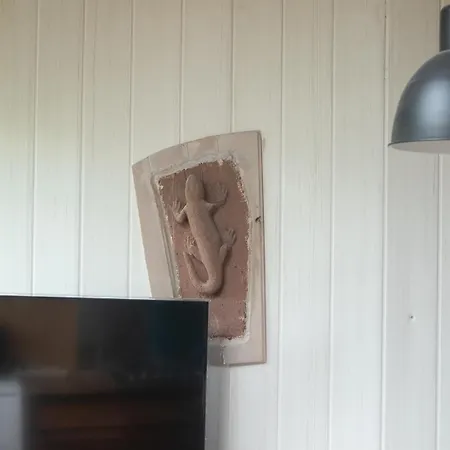 Le Cocon Apartment *